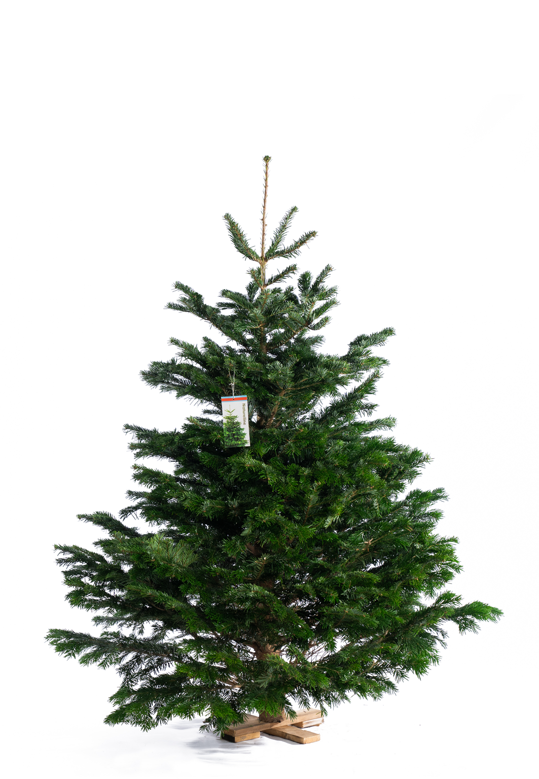 Nordmann voordeur kerstboom